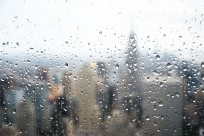 "Shall We Dance" by Patrick Rosal